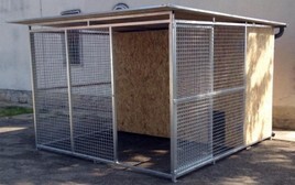box-cani-3.jpg